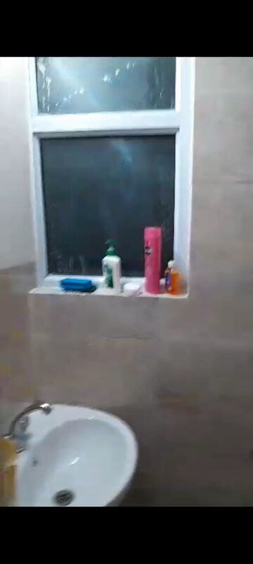1 BHK Apartment For Rent in Wave Dream Homes, Wave City