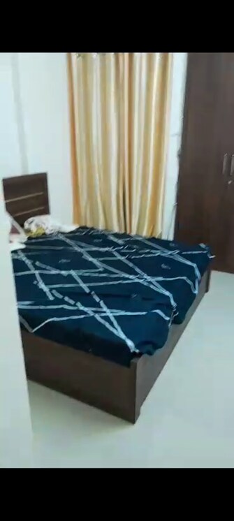 1 BHK Apartment For Rent in Wave Dream Homes Wave City Ghaziabad  8120680