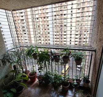 3 BHK Apartment For Resale in Lodha Splendora River View Ghodbunder Road Thane  8120802