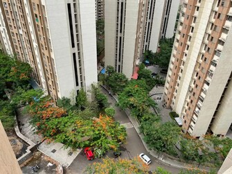 2 BHK Apartment For Rent in Lodha Splendora Platino Ghodbunder Road Thane  8120826