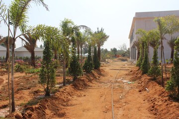 Plot Area in  Plot at Medchal – for Sale