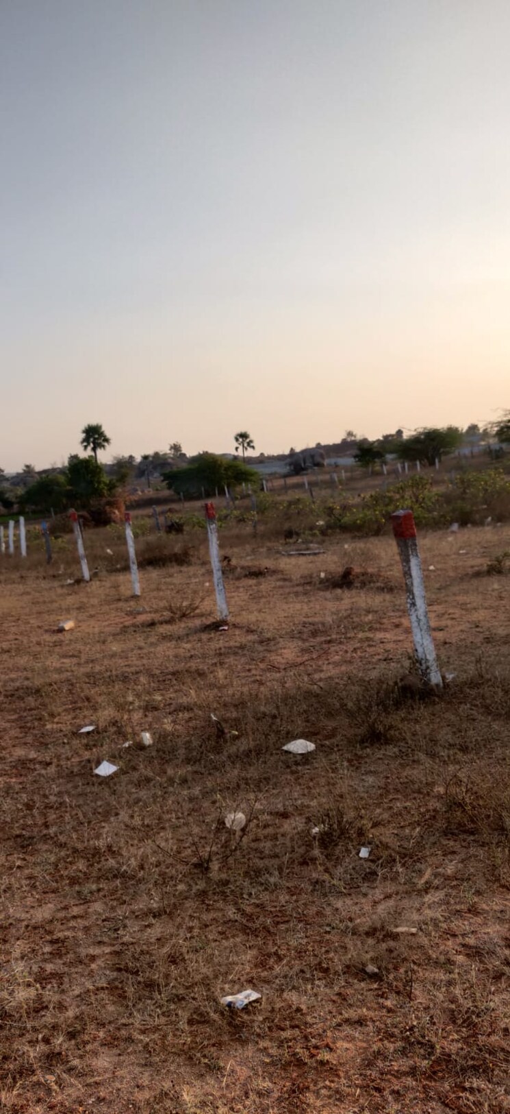 undefined, hayathnagar  300 Sq.Yd. Plot In Hayathnagar Hyderabad 8120980