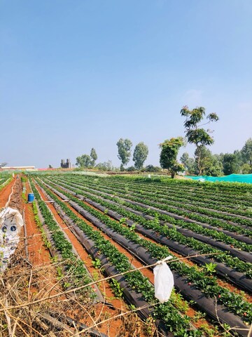  Plot – Exterior View View at Panchgani - for Sale
