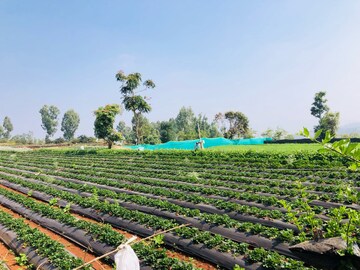  Plot – Exterior View View at Panchgani - for Sale