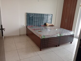 2 BHK Apartment For Rent in Paradigm Business Hermitage Park Dhakoli Village Zirakpur  8121215