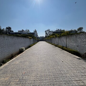 Swimming Pool in  Plot at Dera Mandi – for Sale