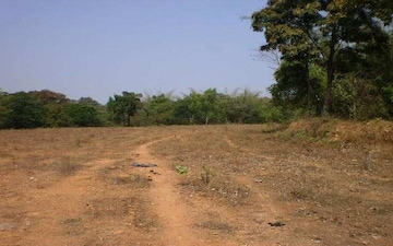Plot For Sale in Mandideep