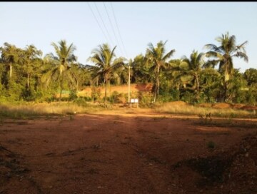  Plot For Sale in Sikandrabad