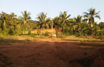 Plot For Sale in Sikandrabad