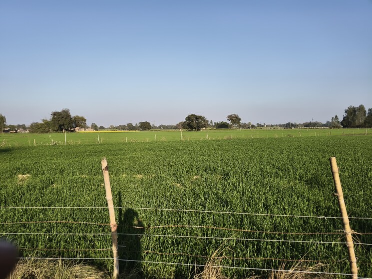 undefined, nawabganj Commercial Land 34000 Sq.Ft. In Nawabganj Unnao 8121322