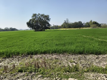 Plot Area in  Land at Nawabganj – for Sale