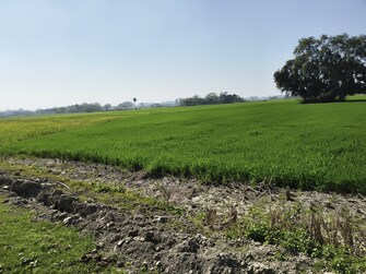 Commercial Land 3 Acre For Resale in Nawabganj Unnao  8121327