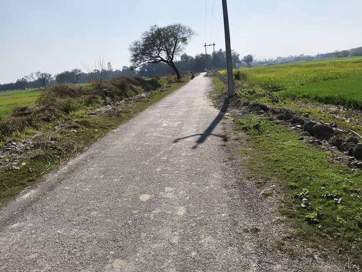 undefined, nawabganj Commercial Land 3 Acre In Nawabganj Unnao 8121327