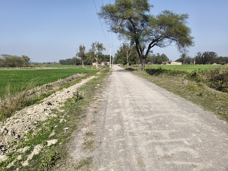 undefined, nawabganj Commercial Land 3 Acre In Nawabganj Unnao 8121327