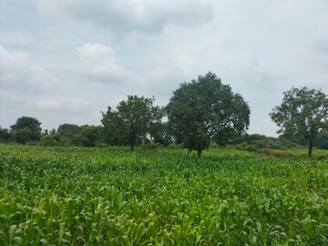  Plot For Sale in Shankarpalli