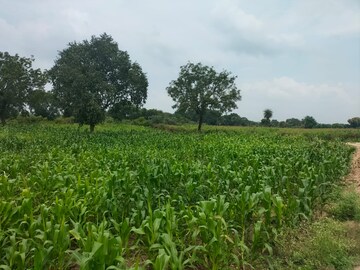  Plot – Garden View at Shankarpalli - for Sale