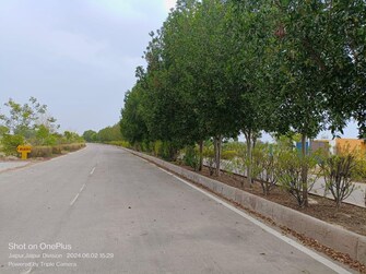 Plot For Resale in Parv Shantiban Dreams Dholera Ahmedabad  8121692