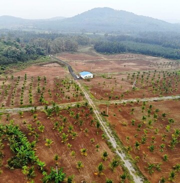  Plot For Sale in Narsipatnam