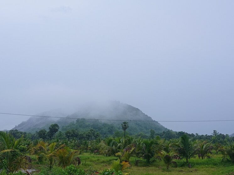 undefined, narsipatnam  322 Sq.Yd. Plot In Narsipatnam Vizag 8121740