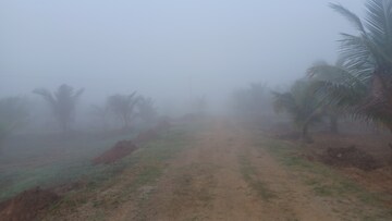 Plot Area in  Plot at Narsipatnam – for Sale