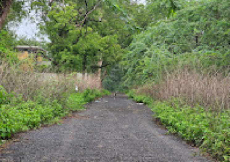 Garden, ghuma  600 Sq.Yd. Plot In Ghuma Ahmedabad 8121765