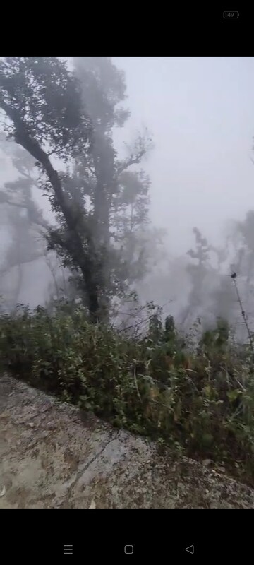  Plot – Garden View at Bhimtal - for Sale