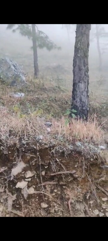 Plot Area in  Plot at Bhimtal – for Sale