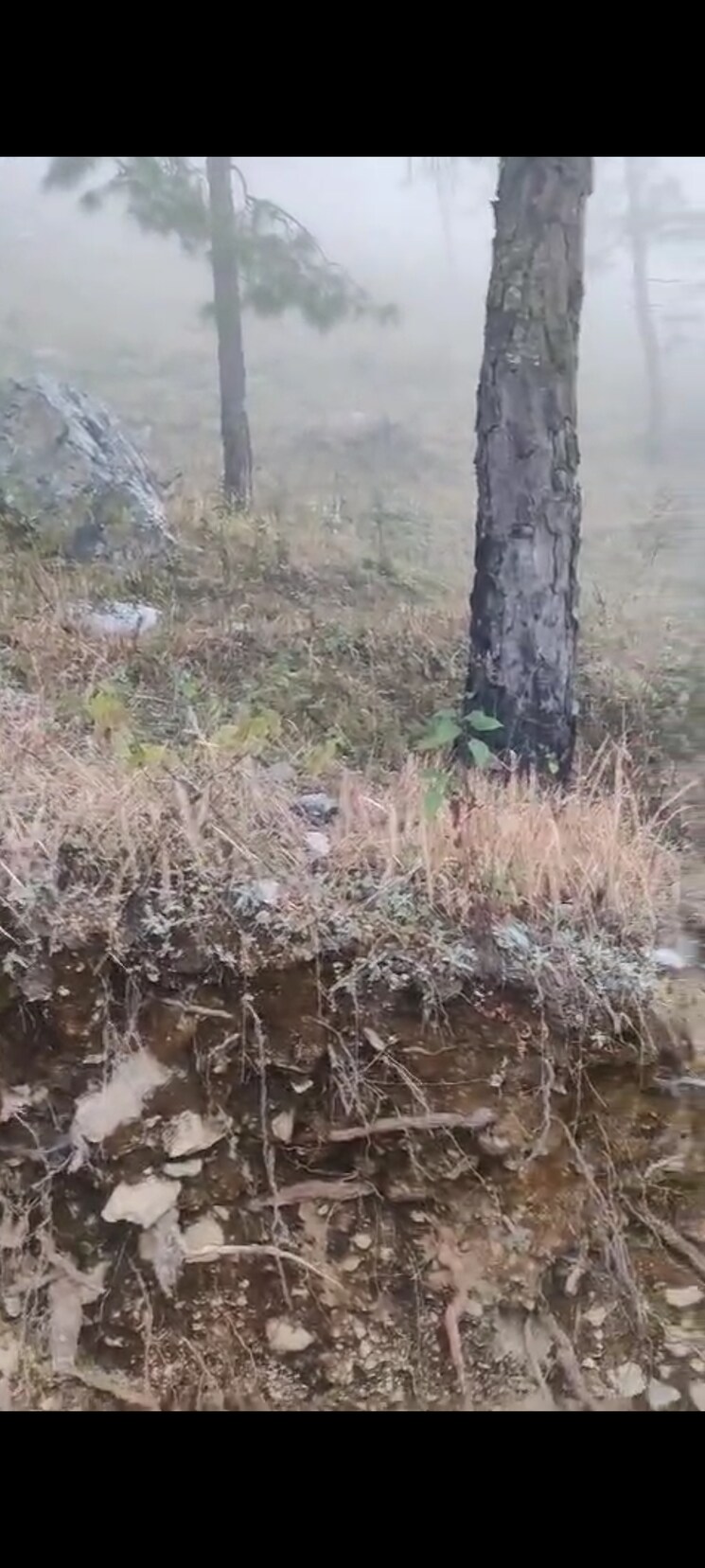 undefined, bhimtal  300 Sq.Yd. Plot In Bhimtal Nainital 8121817