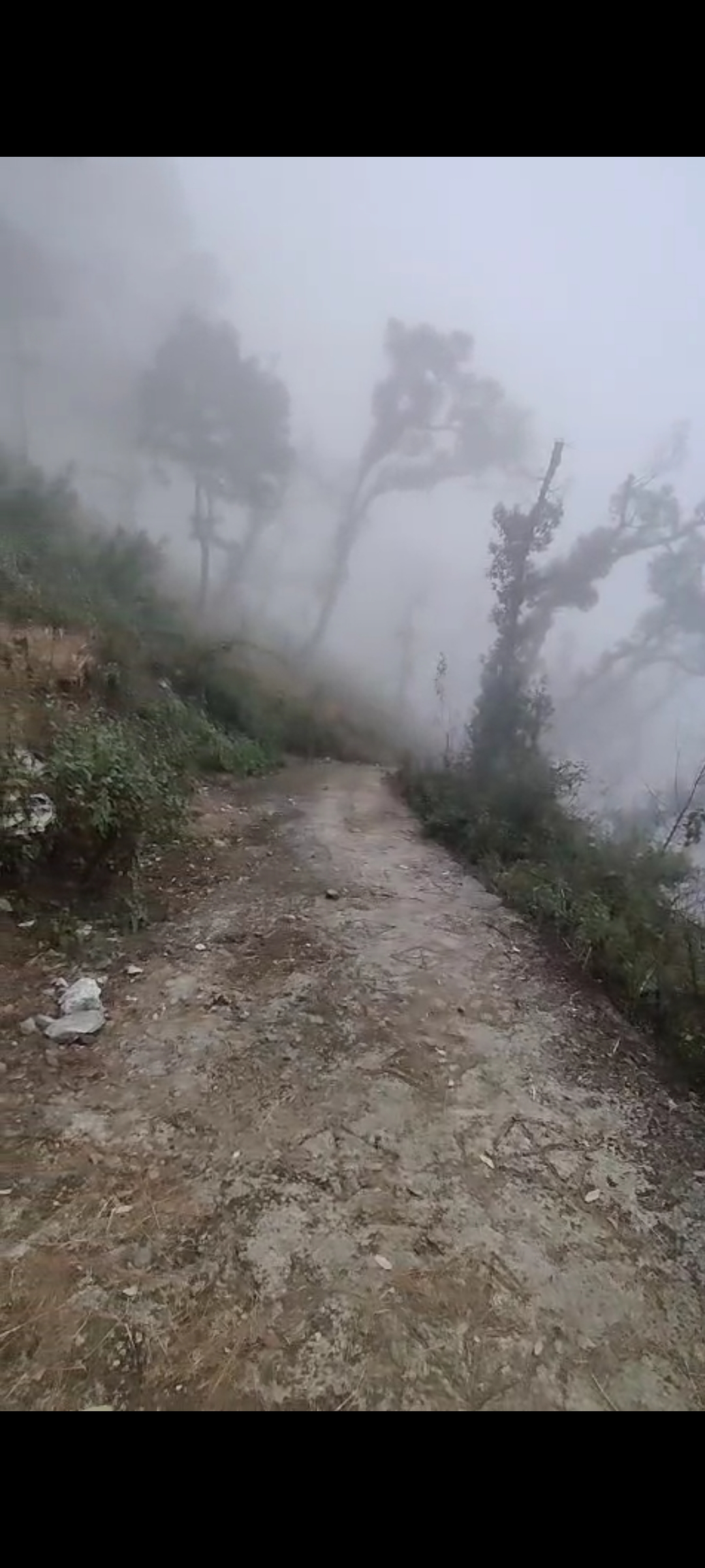 Plot For Sale in Bhimtal