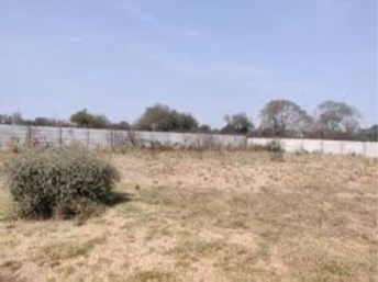 Plot For Resale in Ghuma Ahmedabad  8121838