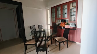 2 BHK Apartment For Rent in Koregaon Park CHS Koregaon Park Pune  8121917