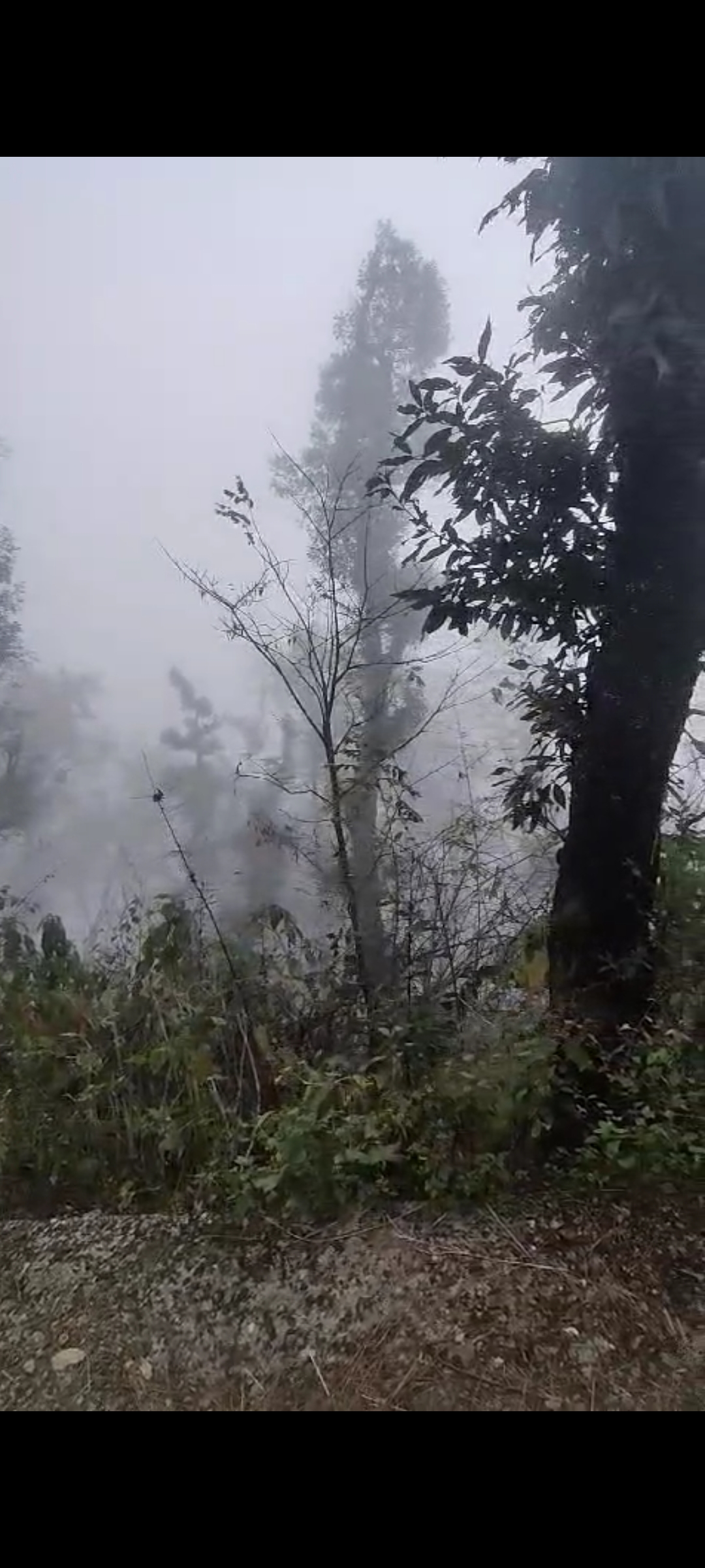 Plot For Sale in Bhimtal