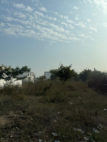 Plot Area in  Plot at Sector 76 – for Sale