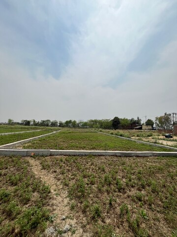 Plot Area in  Plot at Beldarichak – for Sale