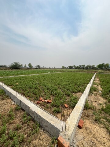Plot Area in  Plot at Beldarichak – for Sale