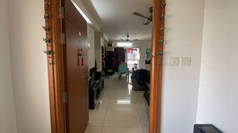 2.5 BHK Apartment For Rent in Aparna Sarovar Zenith Nallagandla Hyderabad  8121982