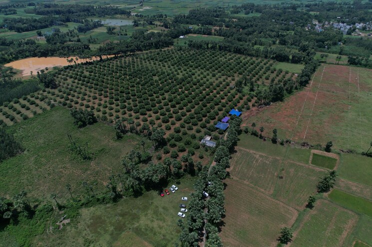 Exterior View, madduturu  200 Sq.Yd. Plot In Madduturu Vizag 8122020