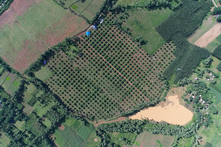 Exterior View, madduturu  200 Sq.Yd. Plot In Madduturu Vizag 8122020