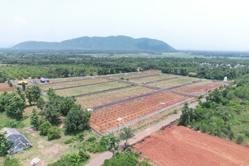 Plot Area in  Plot at Madduturu – for Sale