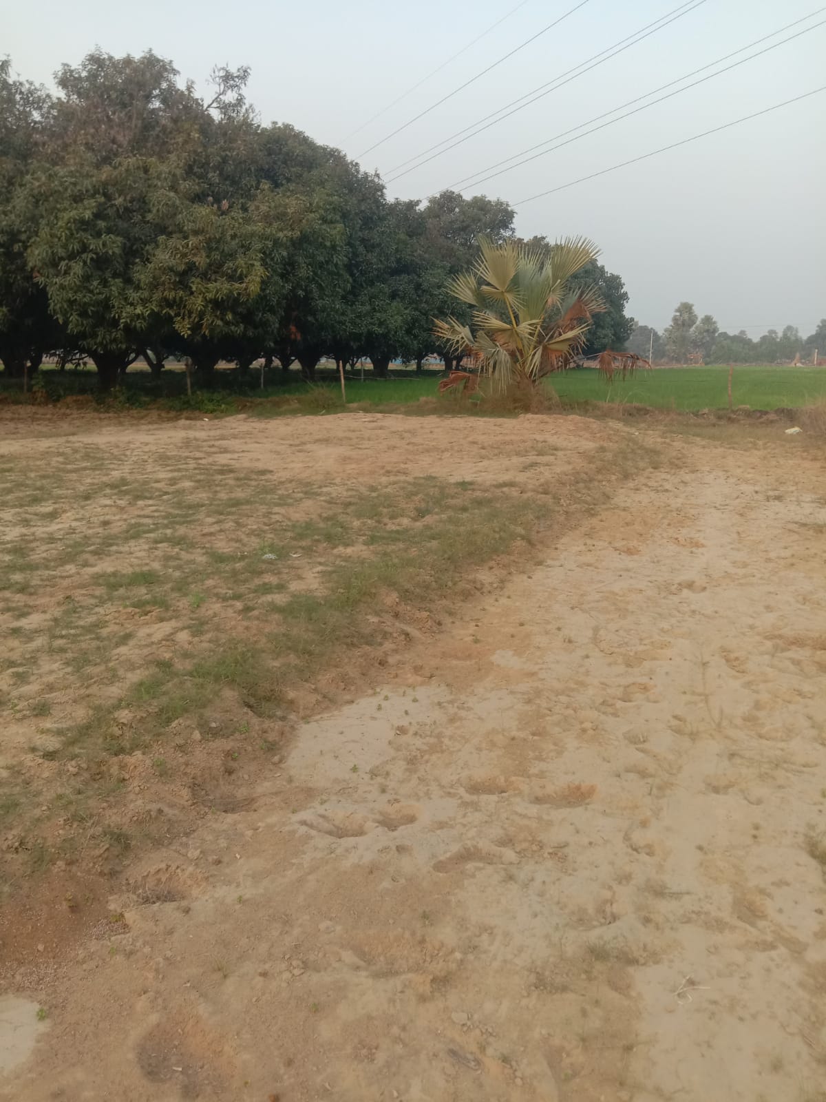 Plot For Sale in Aarambh City