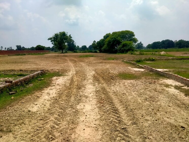 undefined, wazirganj  1000 Sq.Ft. Plot In Wazirganj Lucknow 8122147