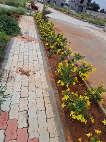  Plot – Map Location View at Bagalur Road - for Sale