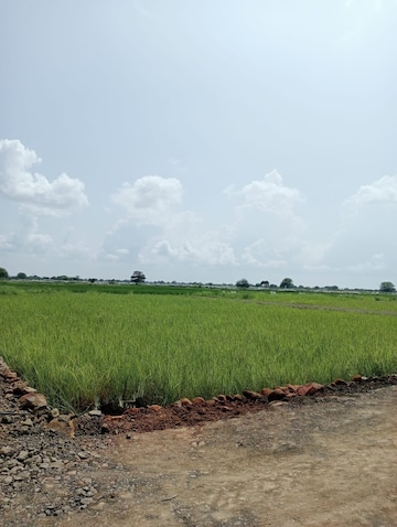 Plot Area in  Plot at Katangi – for Sale