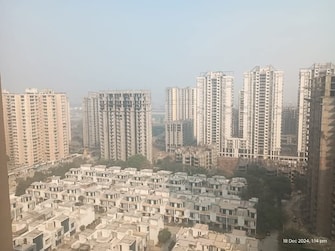 3 BHK Apartment For Resale in Amrapali Leisure Park Amrapali Leisure Valley Greater Noida  8122353