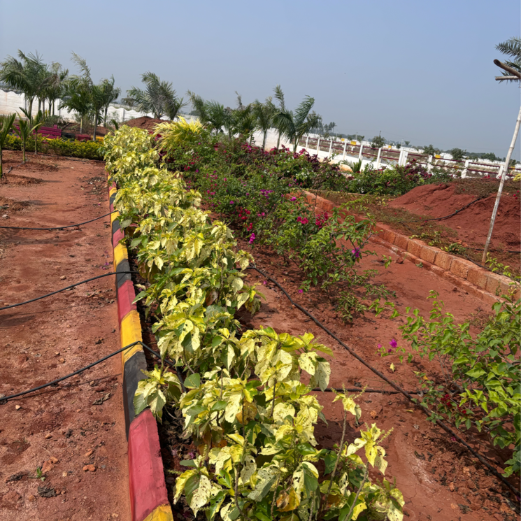 Garden, sri-bhumi-eeshaanya  167 Sq.Yd. Plot In Gosala Vijayawada 8122481