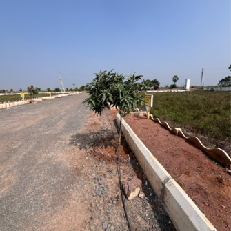 Plot For Resale in Sri Bhumi Eeshaanya Gosala Vijayawada  8122481