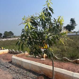 Plot For Resale in Sri Bhumi Eeshaanya Gosala Vijayawada  8122481