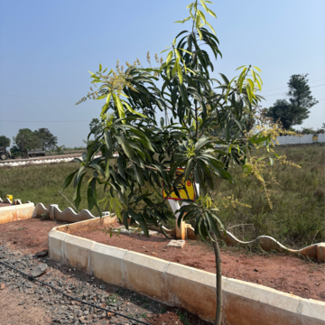 Plot Area in  Plot at Sri Bhumi Eeshaanya, Gosala – for Sale