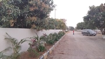 Plot Area in  Plot at Peeranchuruvu – for Sale