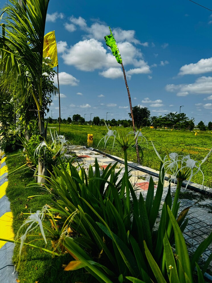 Garden, alekhya-nsr-county  180 Sq.Yd. Plot In Sangareddy Hyderabad 8122623